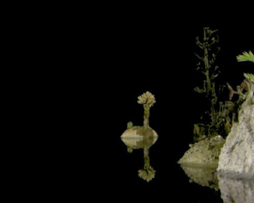 Tidal River, Digital Video, 2008